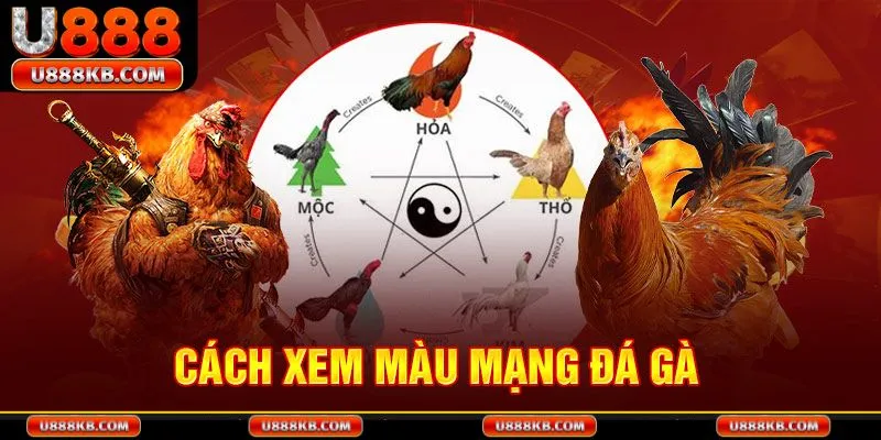 Cách xem màu mạng gà đá